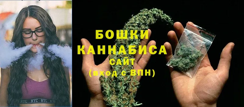 магазин продажи наркотиков  кракен ссылки  Бошки марихуана Amnesia  Белая Холуница 